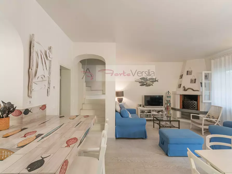 Immagine 1 di Villa in affitto  a Forte Dei Marmi