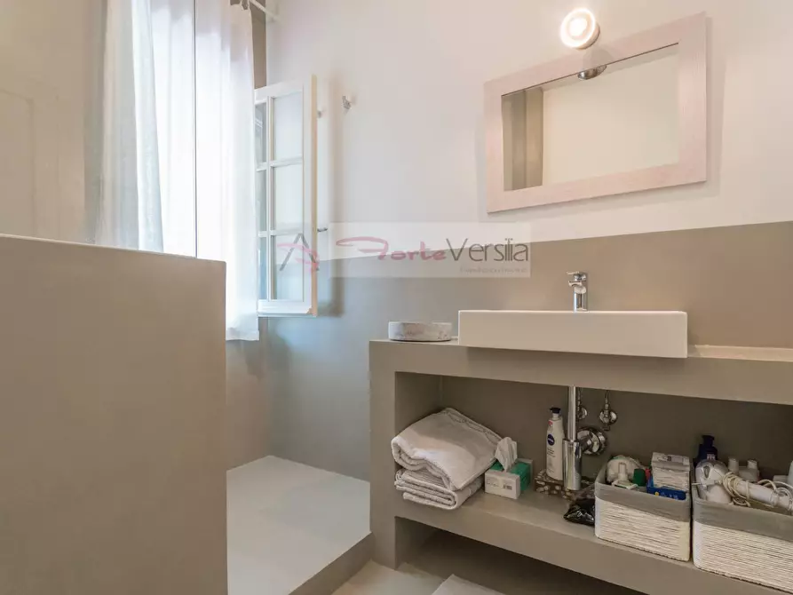 Immagine 24 di Villa in affitto  a Forte Dei Marmi