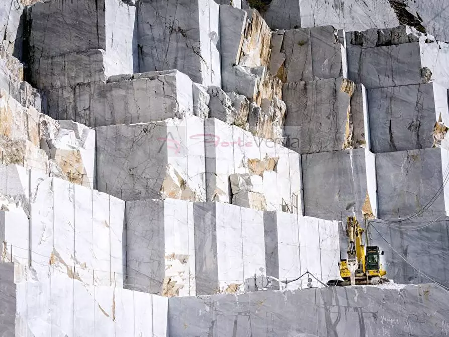 Immagine 9 di Attività commerciale in vendita  a Carrara
