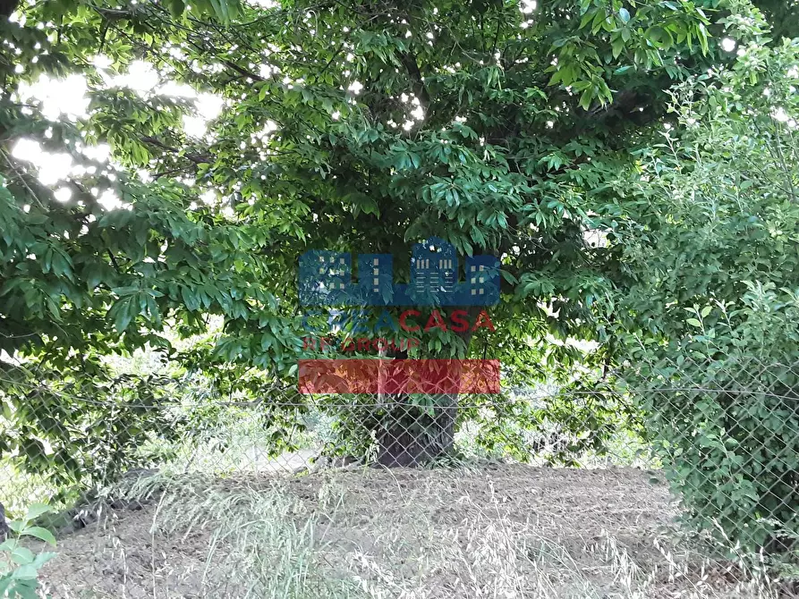 Immagine 2 di Terreno agricolo in vendita  in muscianò a Graniti