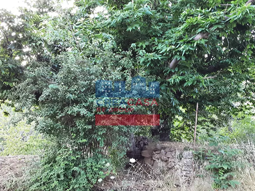 Immagine 3 di Terreno agricolo in vendita  in muscianò a Graniti