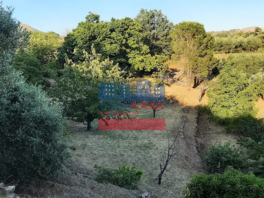 Immagine 9 di Terreno agricolo in vendita  in muscianò a Graniti
