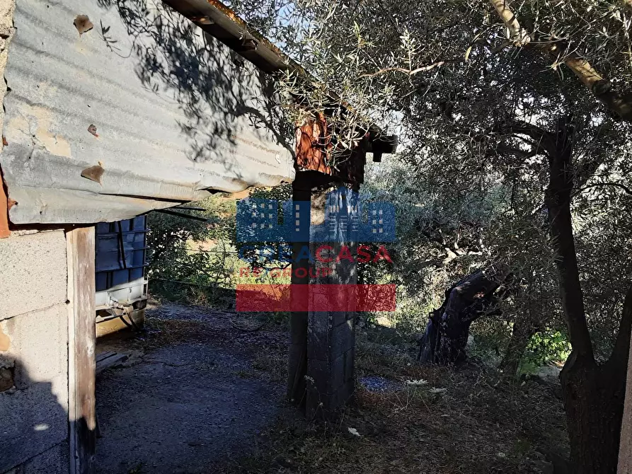 Immagine 14 di Terreno agricolo in vendita  in muscianò a Graniti