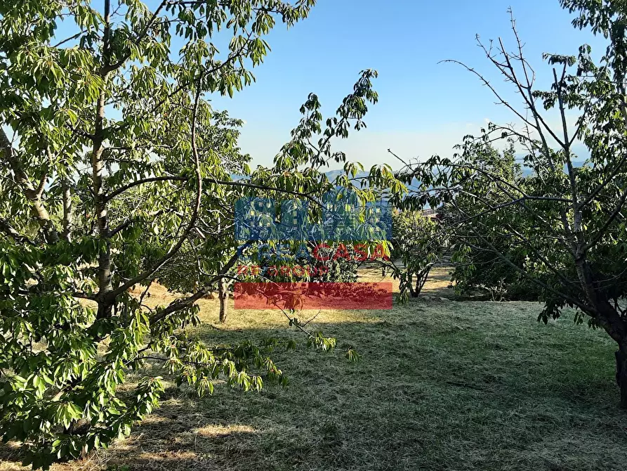 Immagine 26 di Terreno agricolo in vendita  in muscianò a Graniti