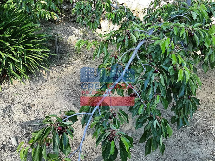 Immagine 27 di Terreno agricolo in vendita  in muscianò a Graniti