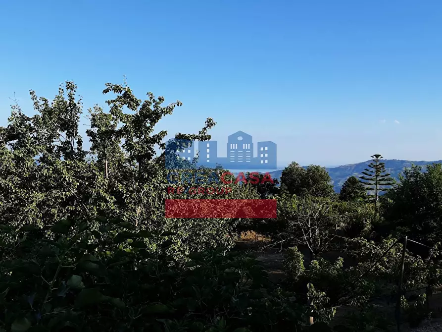 Immagine 28 di Terreno agricolo in vendita  in muscianò a Graniti