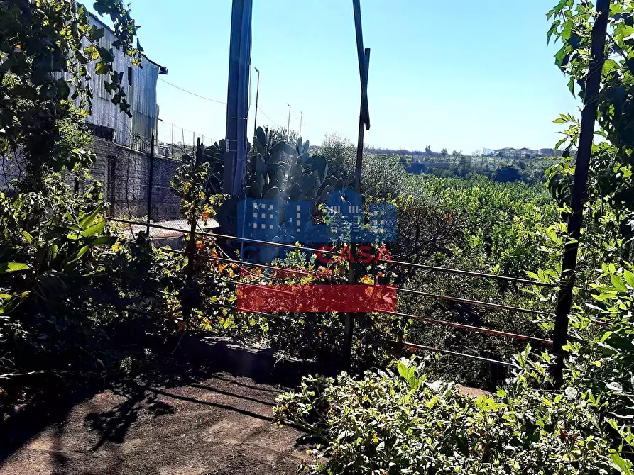 Immagine 49 di Villa in vendita  in strada statale 114 a Calatabiano