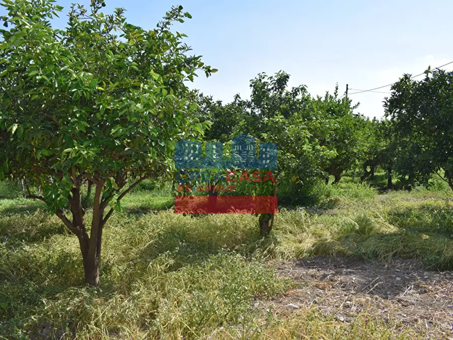 Immagine 4 di Terreno agricolo in vendita  in C.da Mare Provvido a Taormina