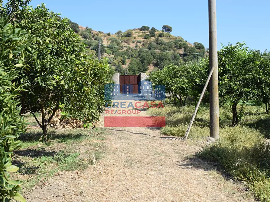 Immagine 5 di Terreno agricolo in vendita  in C.da Mare Provvido a Taormina