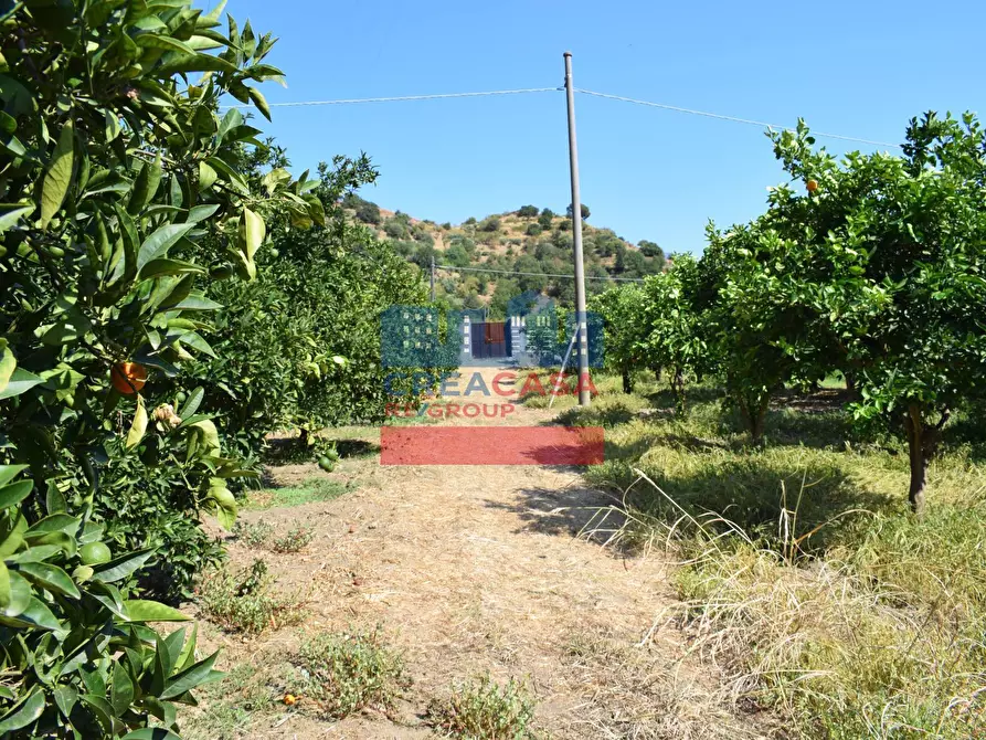 Immagine 6 di Terreno agricolo in vendita  in C.da Mare Provvido a Taormina