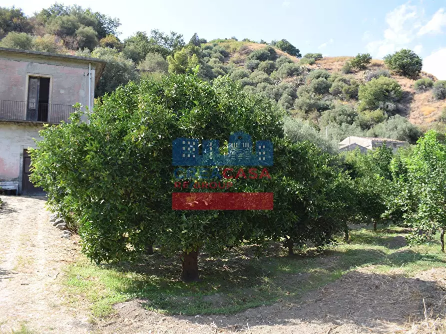 Immagine 7 di Terreno agricolo in vendita  in C.da Mare Provvido a Taormina