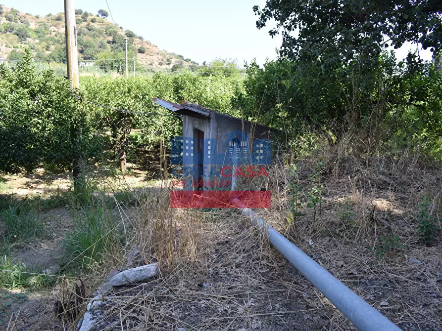 Immagine 16 di Terreno agricolo in vendita  in C.da Mare Provvido a Taormina