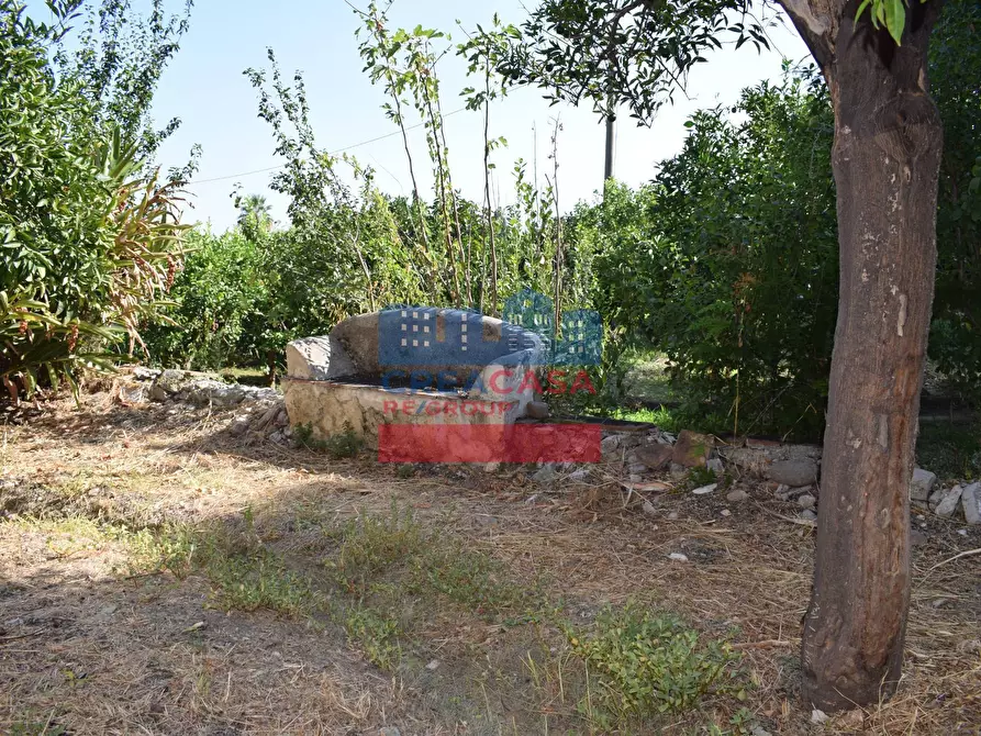 Immagine 21 di Terreno agricolo in vendita  in C.da Mare Provvido a Taormina