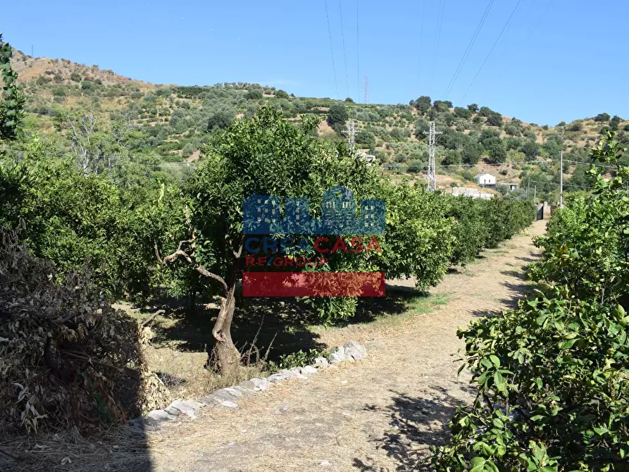 Immagine 25 di Terreno agricolo in vendita  in C.da Mare Provvido a Taormina