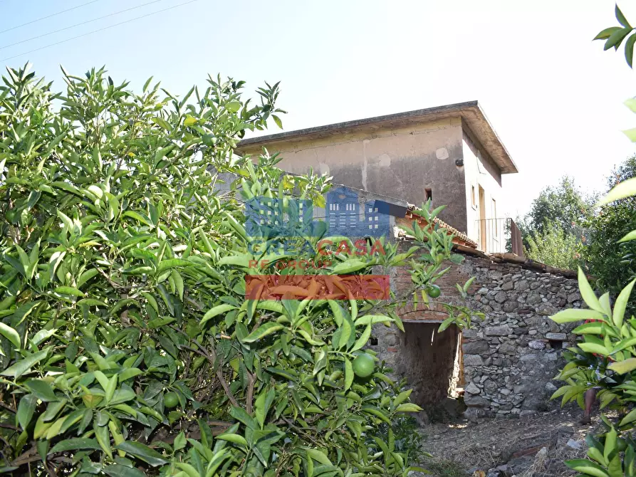 Immagine 26 di Terreno agricolo in vendita  in C.da Mare Provvido a Taormina