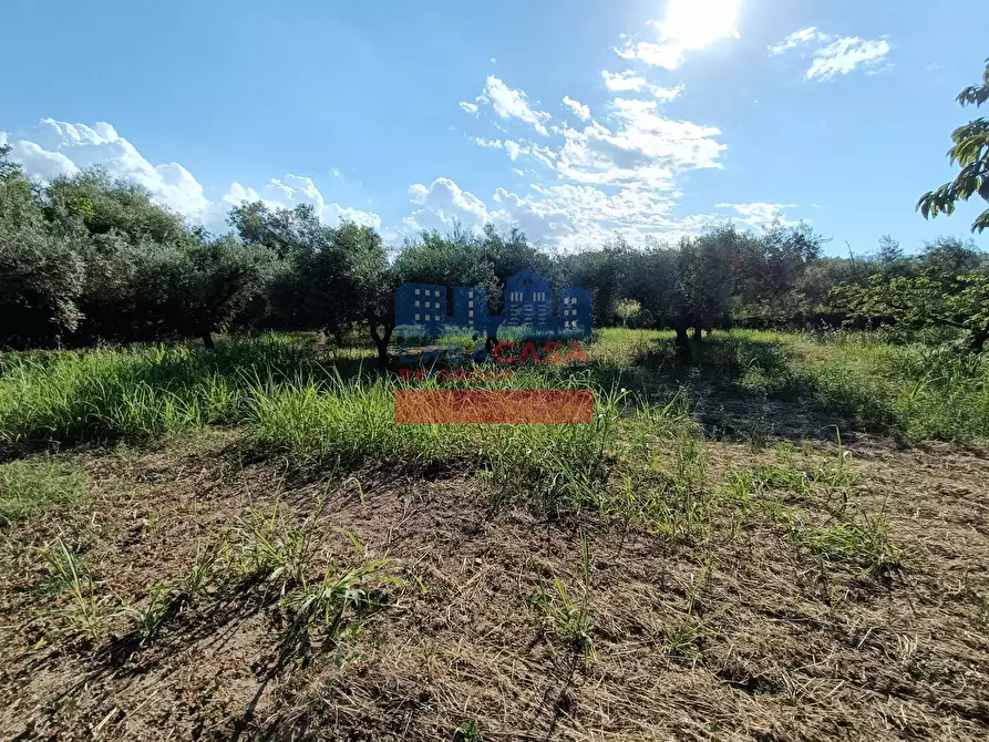 Immagine 12 di Villa in vendita  in CONTRADA GAETO a Castiglione Di Sicilia
