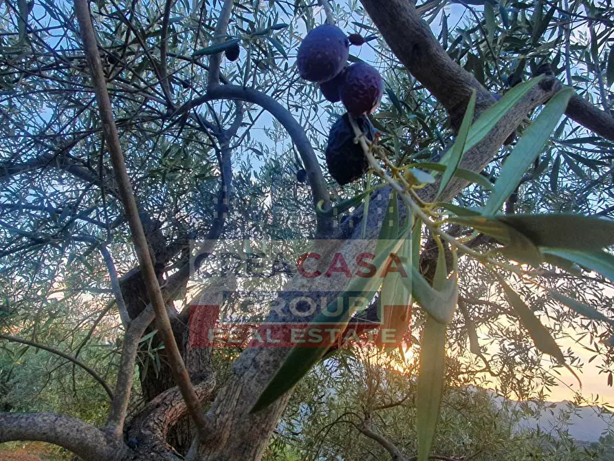 Immagine 7 di Terreno agricolo in vendita  a Graniti