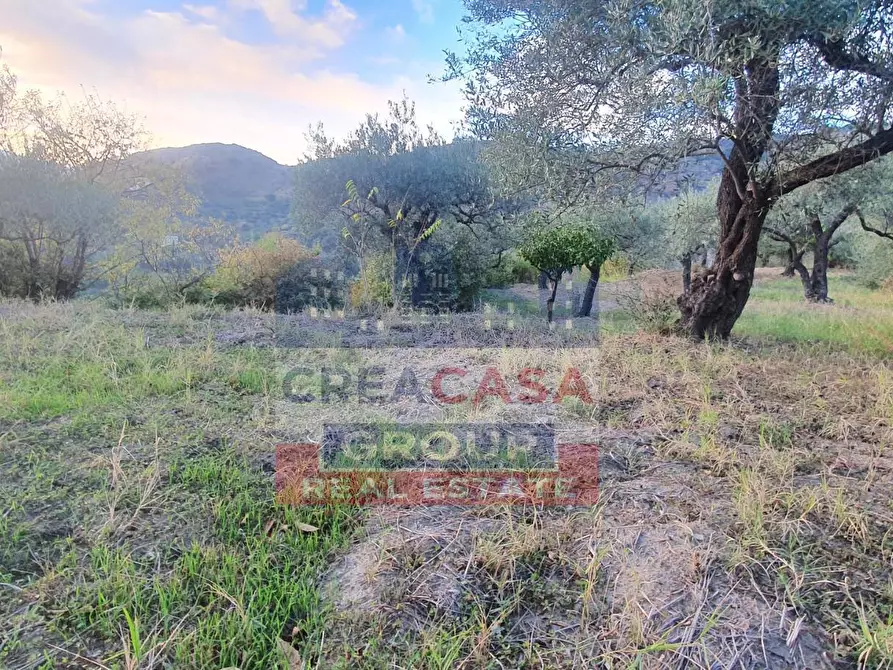 Immagine 9 di Terreno agricolo in vendita  a Graniti