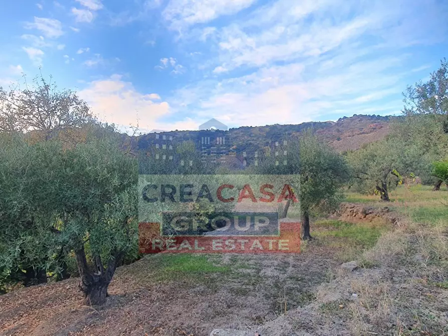 Immagine 3 di Terreno agricolo in vendita  a Graniti