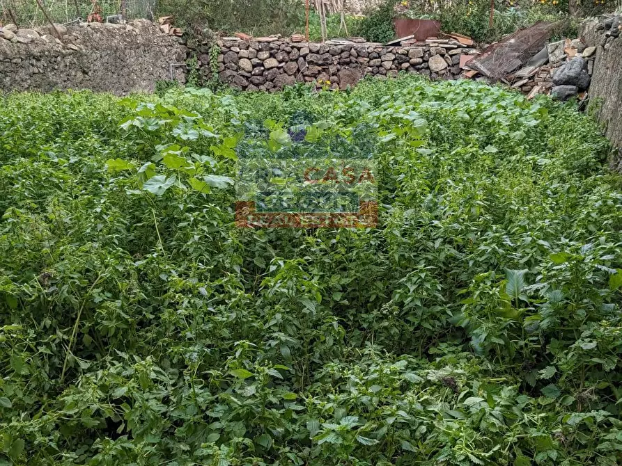 Immagine 15 di Casa indipendente in vendita  in via Lapide Nuova a Calatabiano
