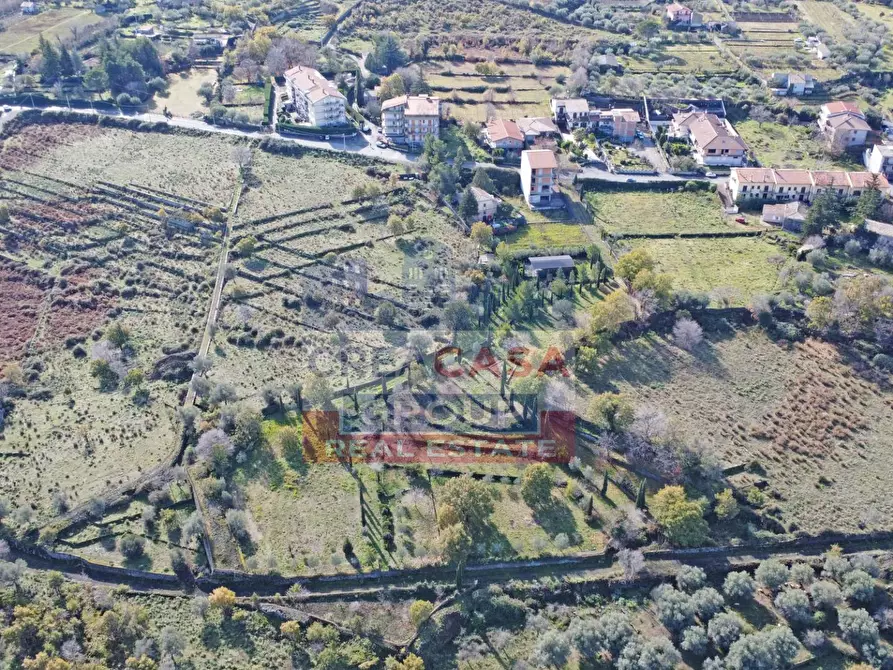 Immagine 5 di Terreno agricolo in vendita  in Via Galliano a Randazzo