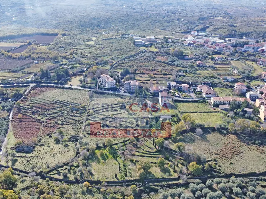 Immagine 6 di Terreno agricolo in vendita  in Via Galliano a Randazzo