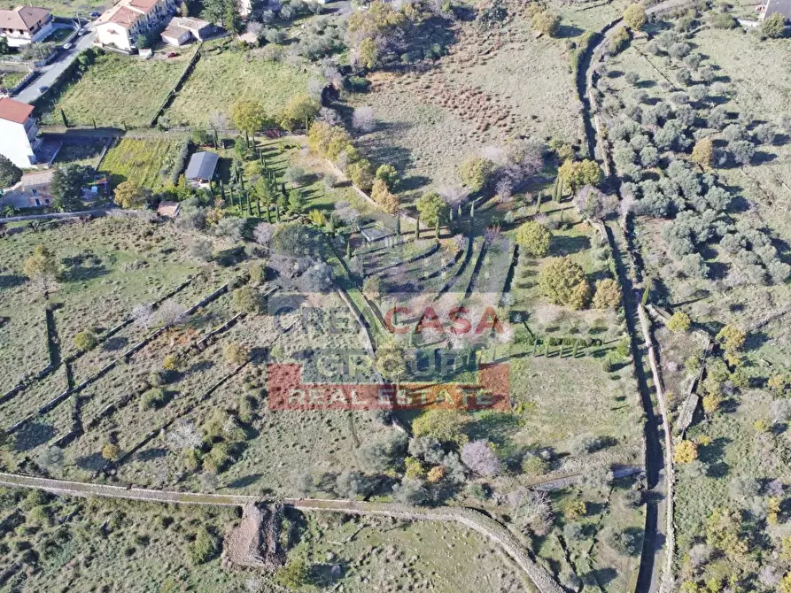 Immagine 10 di Terreno agricolo in vendita  in Via Galliano a Randazzo