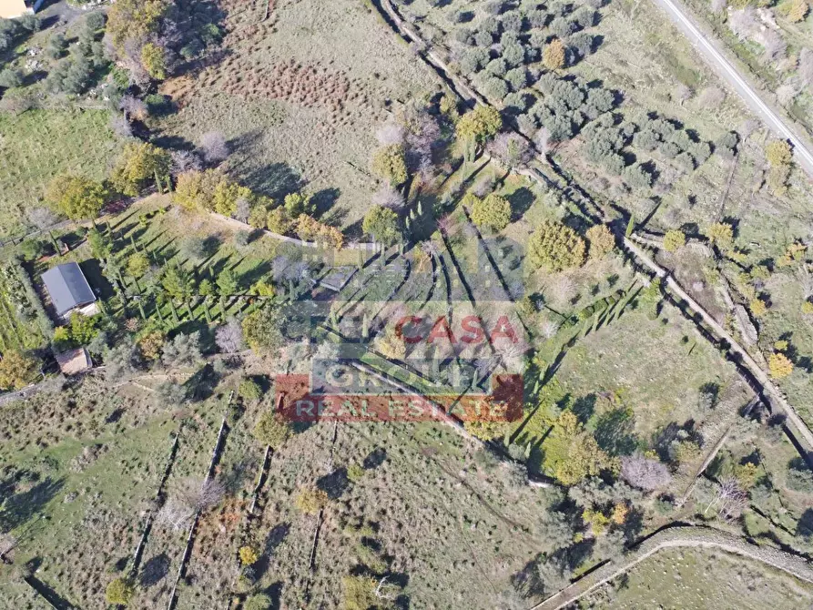 Immagine 11 di Terreno agricolo in vendita  in Via Galliano a Randazzo