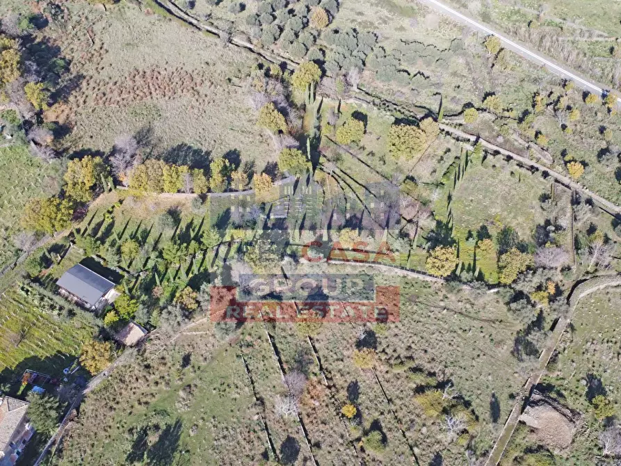 Immagine 12 di Terreno agricolo in vendita  in Via Galliano a Randazzo