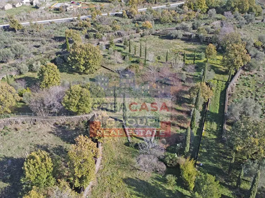 Immagine 30 di Villa in vendita  in via galliano a Randazzo