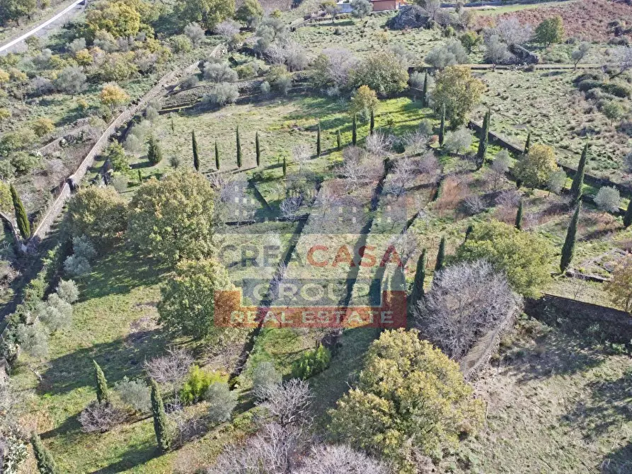 Immagine 31 di Villa in vendita  in via galliano a Randazzo