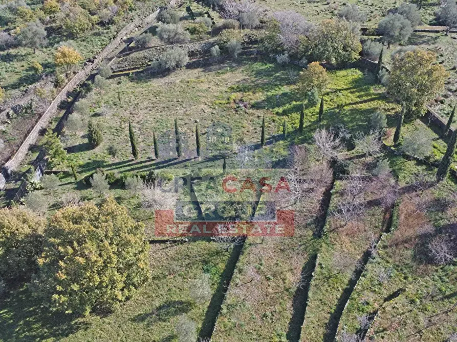 Immagine 32 di Villa in vendita  in via galliano a Randazzo