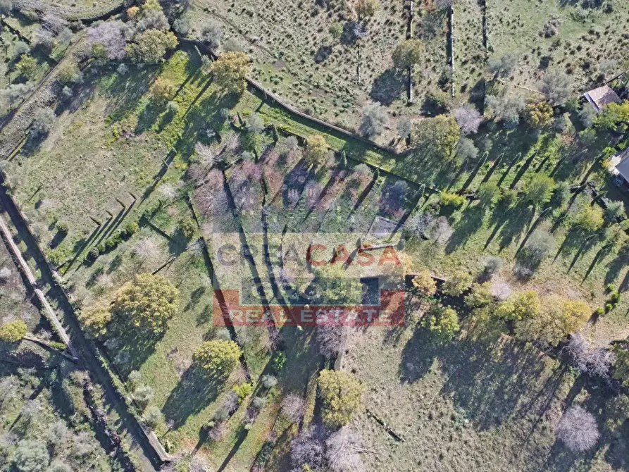 Immagine 34 di Villa in vendita  in via galliano a Randazzo