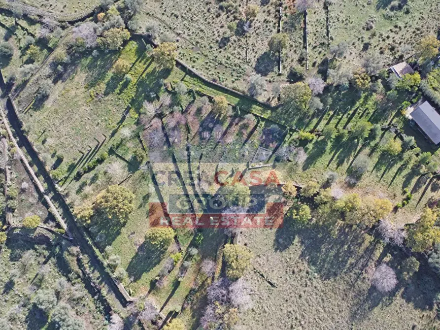 Immagine 35 di Villa in vendita  in via galliano a Randazzo