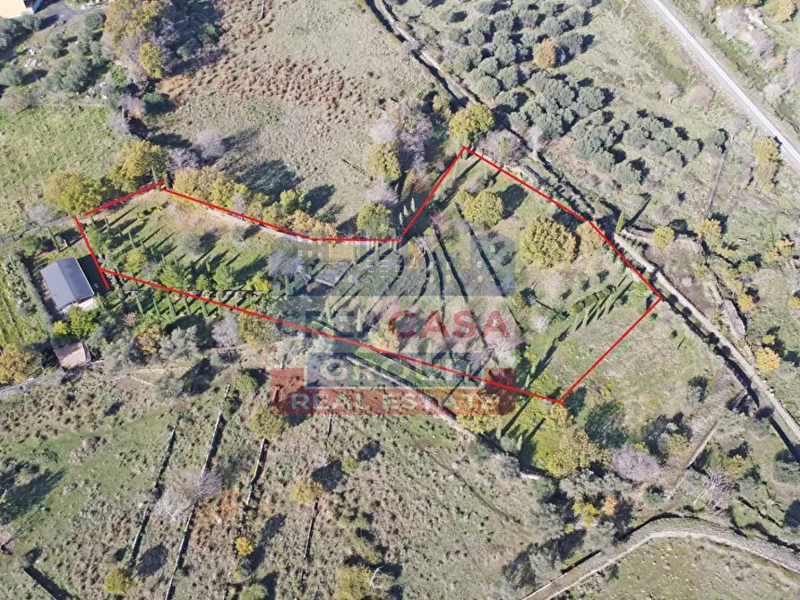 Immagine 2 di Terreno agricolo in vendita  in Via Galliano a Randazzo