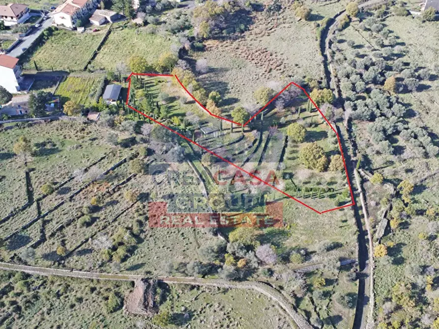 Immagine 4 di Terreno agricolo in vendita  in Via Galliano a Randazzo