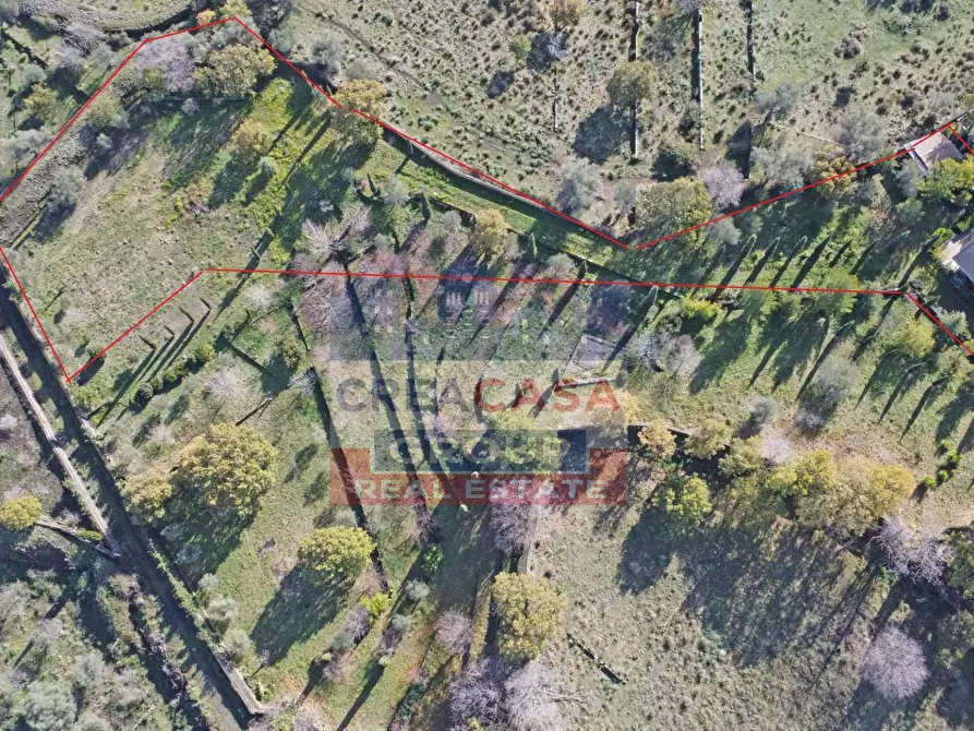 Immagine 23 di Villa in vendita  in via galliano a Randazzo