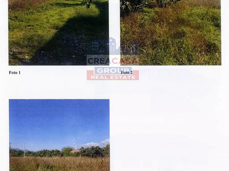 Immagine 4 di Terreno agricolo in vendita  in Pegno  Quadararo a Calatabiano