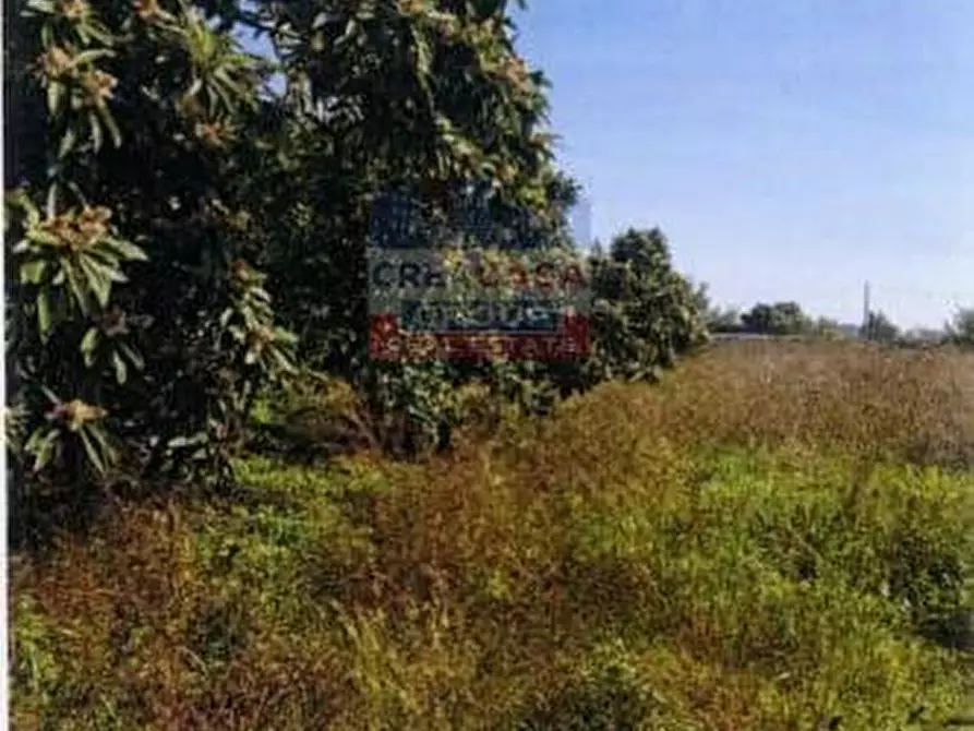 Immagine 5 di Terreno agricolo in vendita  in Pegno  Quadararo a Calatabiano