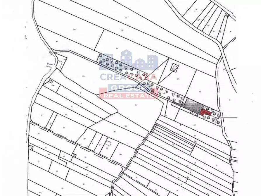 Immagine 7 di Terreno agricolo in vendita  in Pegno  Quadararo a Calatabiano