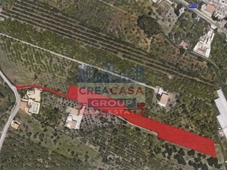 Immagine 9 di Terreno agricolo in vendita  in Pegno  Quadararo a Calatabiano