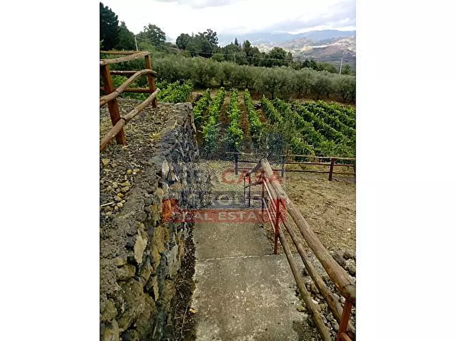 Immagine 21 di Terreno agricolo in vendita  in Strada regionale MARENEVE a Linguaglossa