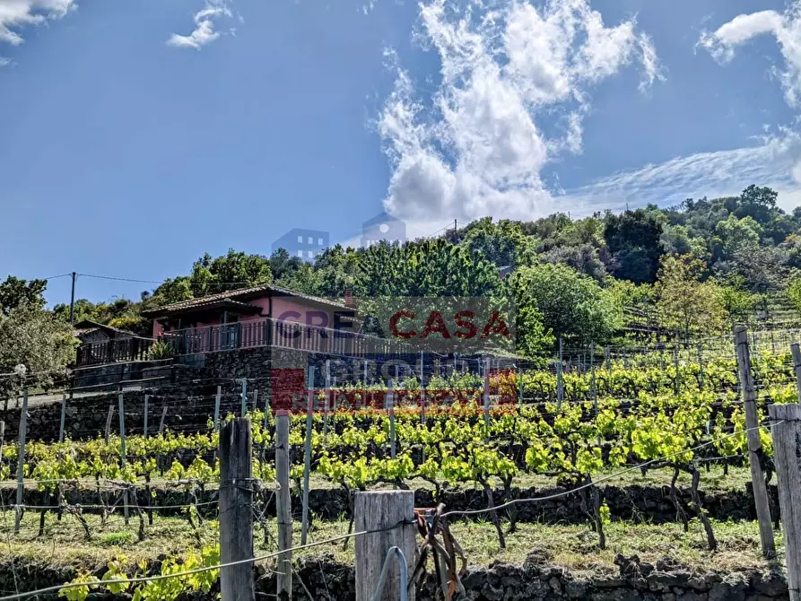 Immagine 4 di Terreno agricolo in vendita  in Strada regionale MARENEVE a Linguaglossa