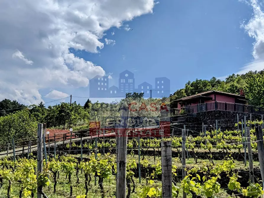 Immagine 19 di Terreno agricolo in vendita  in Strada regionale MARENEVE a Linguaglossa