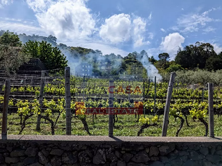 Immagine 20 di Terreno agricolo in vendita  in Strada regionale MARENEVE a Linguaglossa
