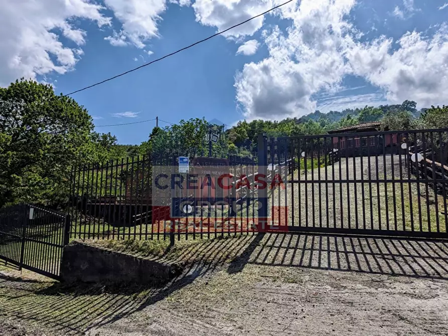 Immagine 11 di Terreno agricolo in vendita  in Strada regionale MARENEVE a Linguaglossa