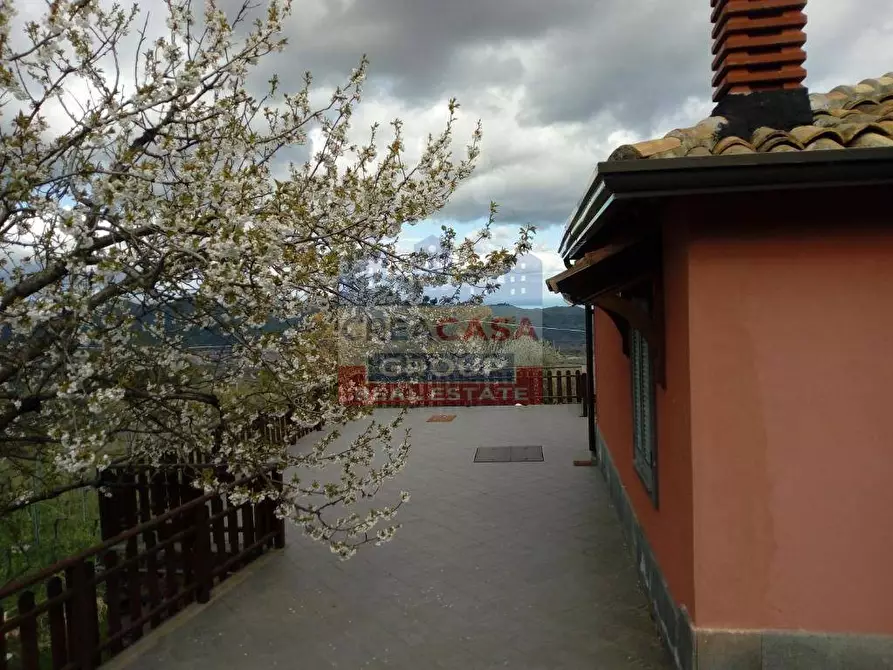 Immagine 33 di Agriturismo in vendita  in Strada Regionale Mareneve a Linguaglossa