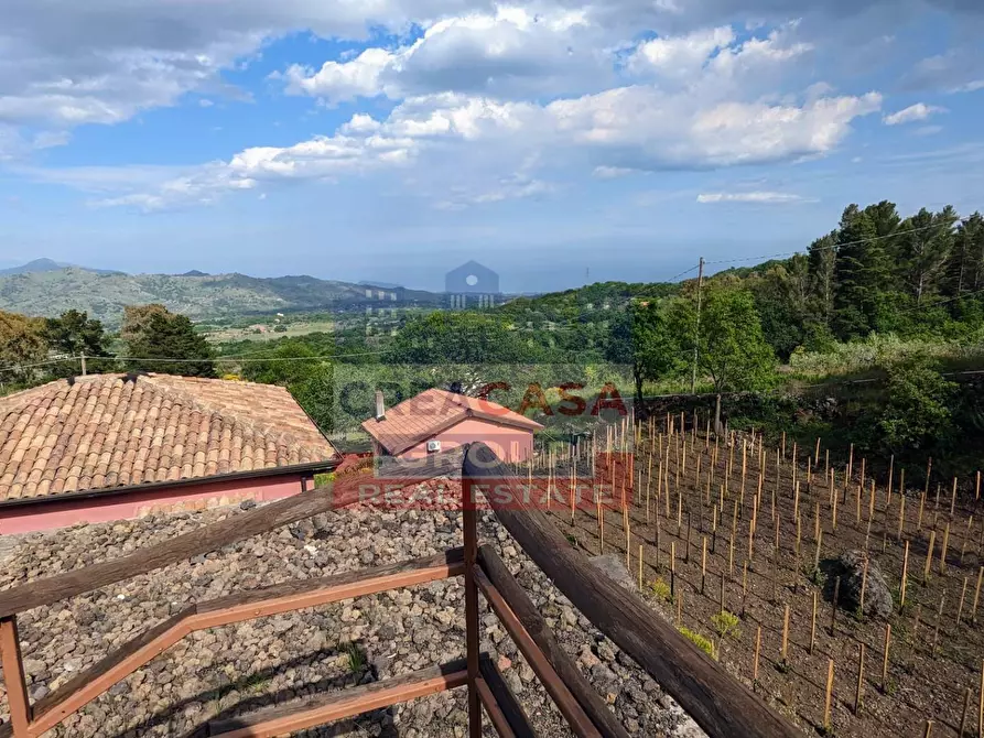 Immagine 36 di Agriturismo in vendita  in Strada Regionale Mareneve a Linguaglossa