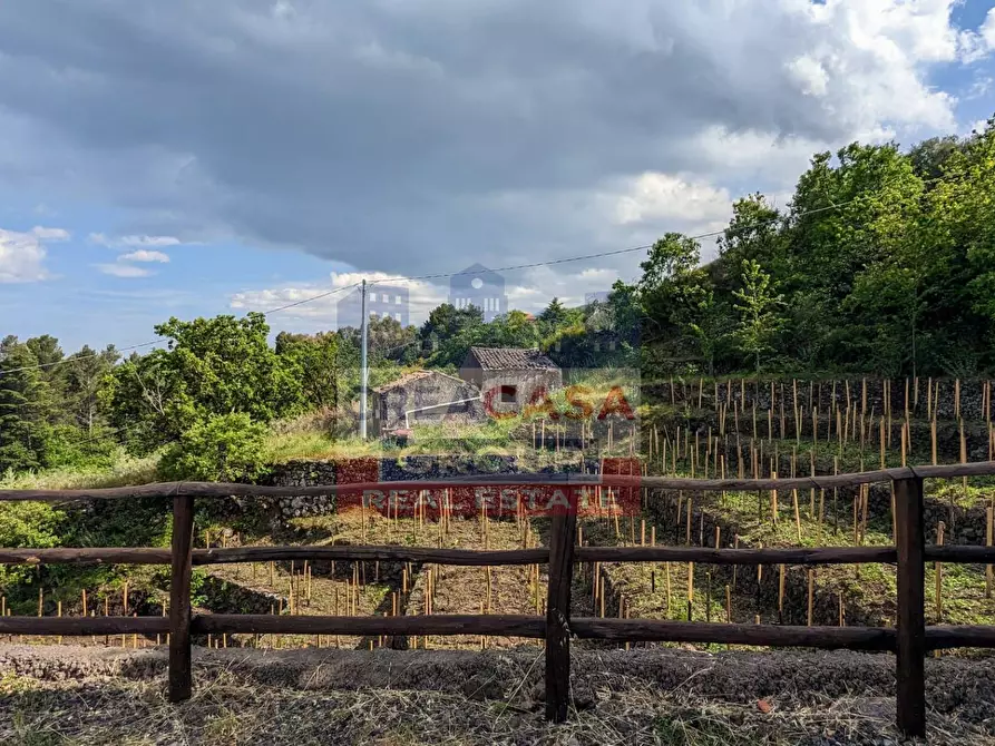 Immagine 40 di Agriturismo in vendita  in Strada Regionale Mareneve a Linguaglossa