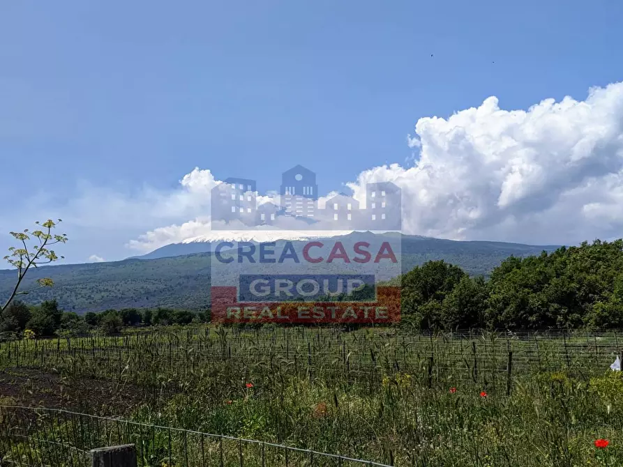 Immagine 4 di Terreno agricolo in vendita  in c.da Cerro a Castiglione Di Sicilia